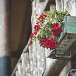 Sfendamos Wood Village Agios Pavlos (Imathia)