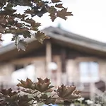 Sfendamos Wood Village Hotel Agios Pavlos (Imathia)