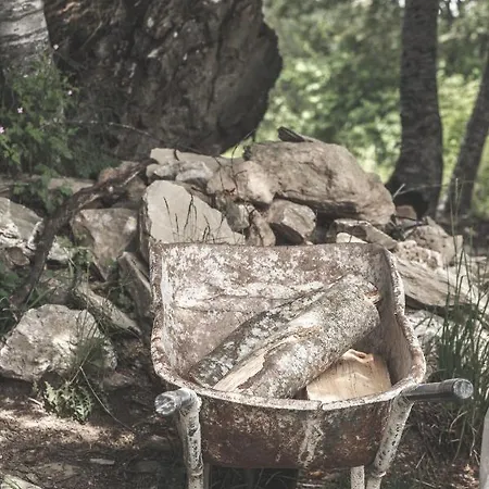 호텔 Sfendamos Wood Village