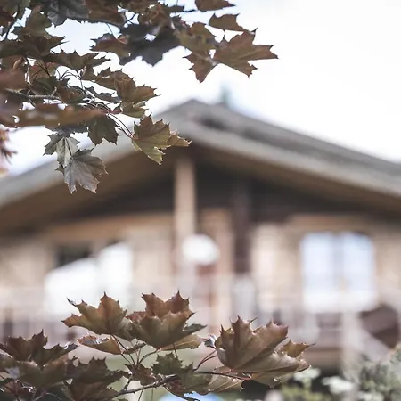 Sfendamos Wood Village 호텔 Agios Pavlos (Imathia)