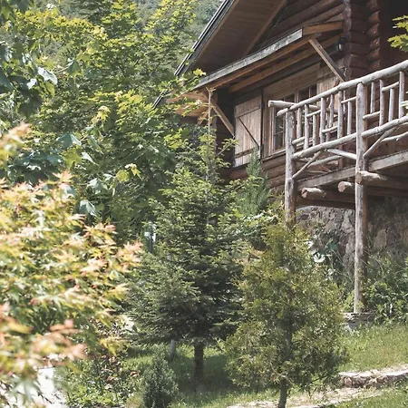 호텔 Sfendamos Wood Village 3*