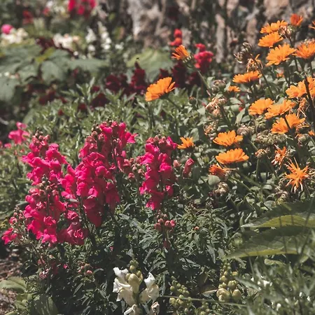 Sfendamos Wood Village 호텔 3*