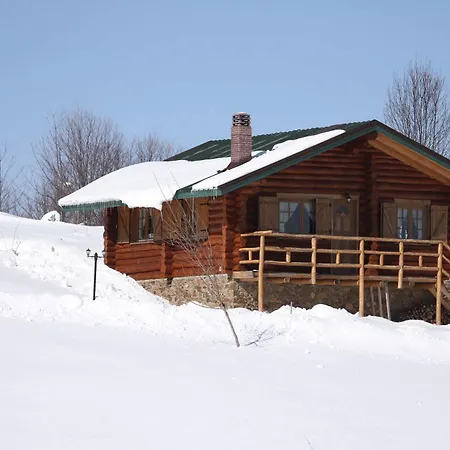 Sfendamos Wood Village 3* Νάουσα Ημαθίας