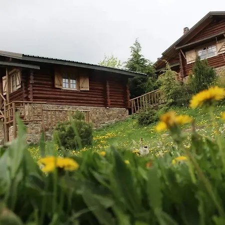 Sfendamos Wood Village Ξενοδοχείο