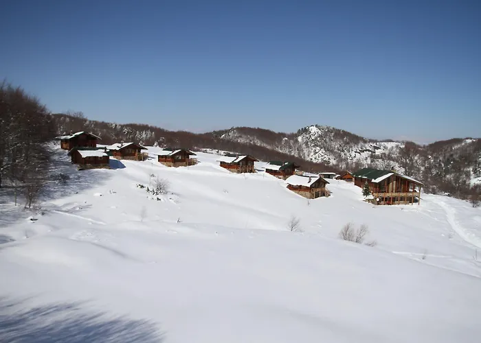 Ξενοδοχείο Sfendamos Wood Village 3*