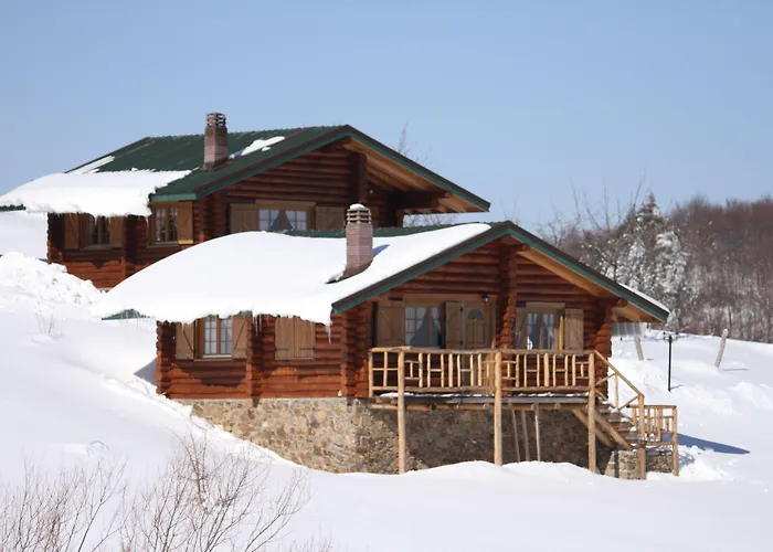 Ξενοδοχείο Sfendamos Wood Village 3*